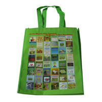 石嘴山LB11覆膜无纺布广告袋